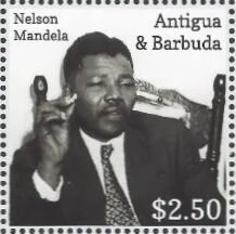 Scarce Bamboo Page (Philaethria dido)