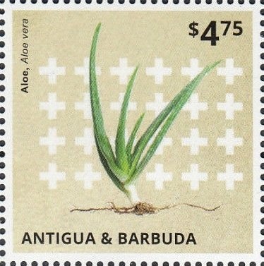 Benjamin Frankin Wearing Red