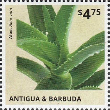 Saint Pope John Paul II and Ronald Reagan