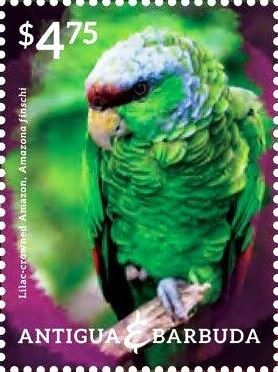 Pope Francis Waving (side-profile)