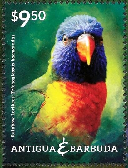 Shells of the Caribbean (1)