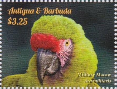 Miss Catherine Middleton