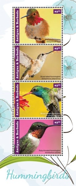 Camellias and Butterfly