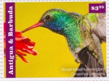 Commemorative medal for 1964 Tokyo Olympics