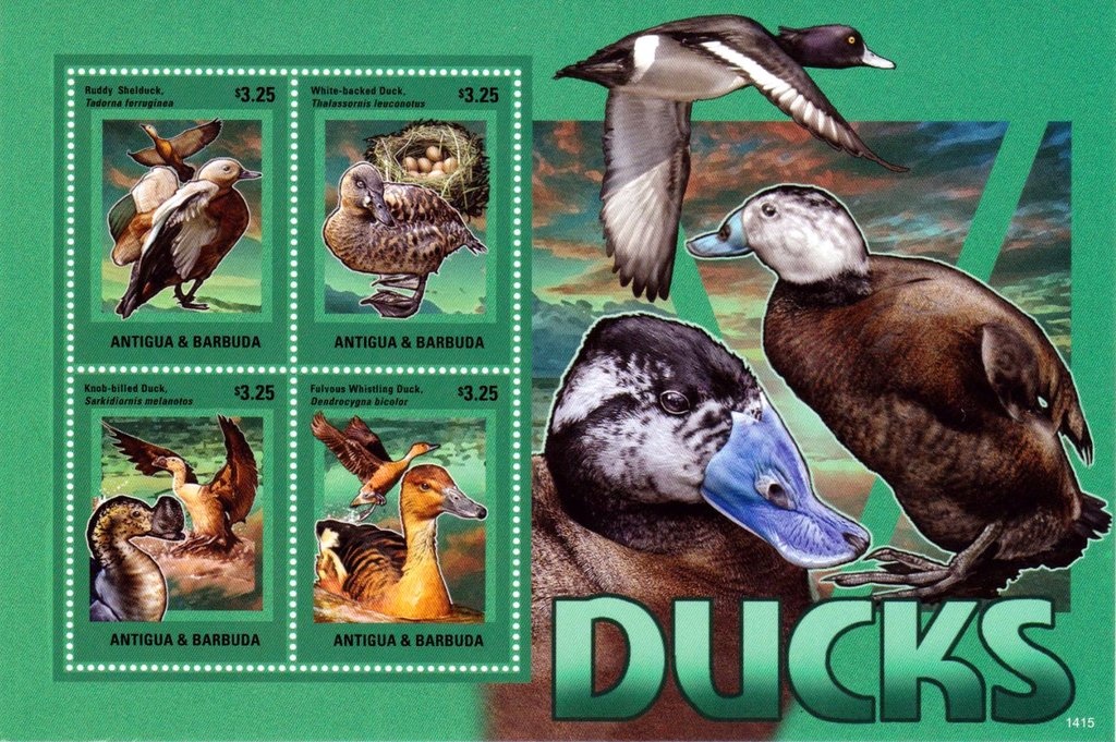 A very Klingon Christmas