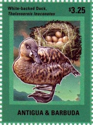 "Galleon and Dutch Merchants with Horse"