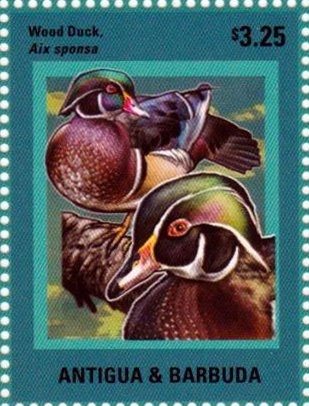 "Dr. Ephraim Bueno" (Rembrandt)