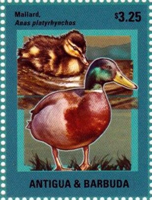 Airfoil of of 1968 312 F1-68