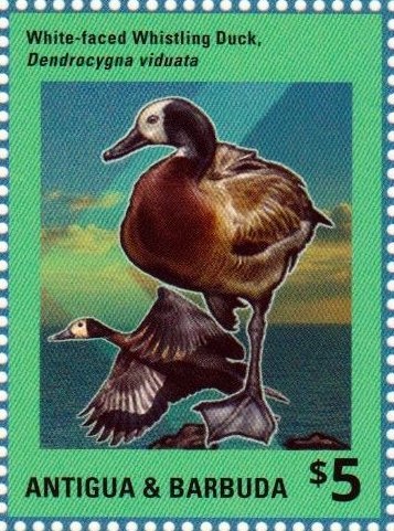 Military Uniforms 1st Issue