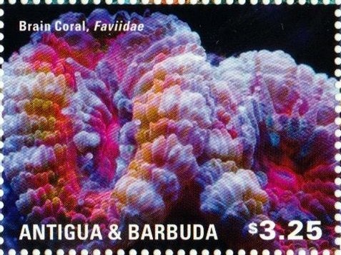 "Started a Revolution, Ended up a King"