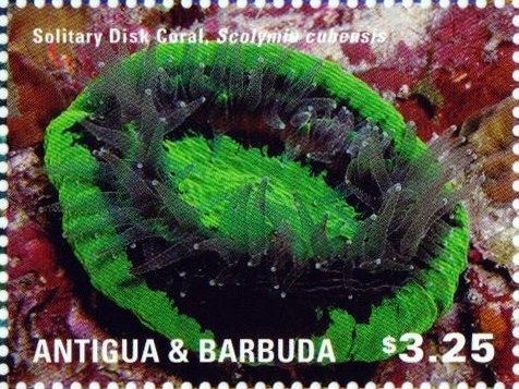 90th Anniversary of the Antigua & Barbuda Scouts Association