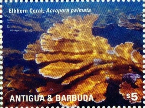 50th Anniversary of Peace in the Pacific