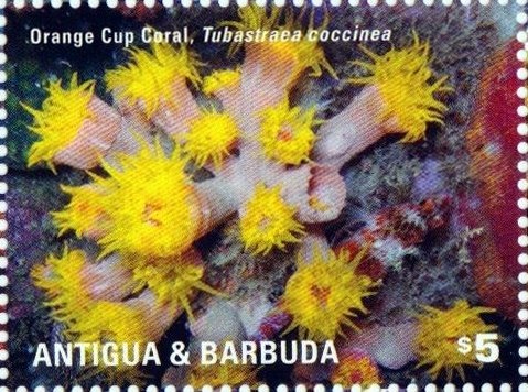 Carnivorous Dinosaurs of the Jurassic Period