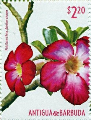 Rare stamps of the world - Newfoundland