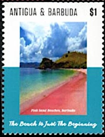 False Androgeus Swallowtail Butterfly (Papilio thersites)