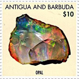 Shrooms (Psilocybe cubensis)