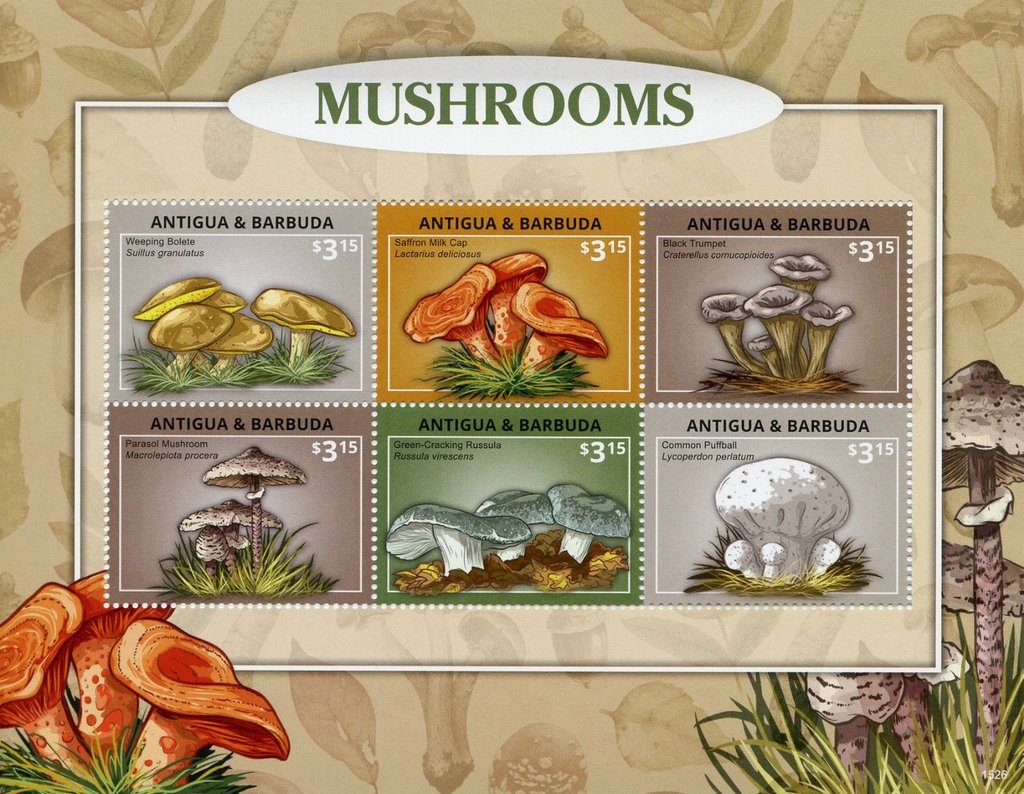 Leaders after Garbage Collection Race, 2002