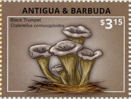 Dove with Olive Branch and Globe