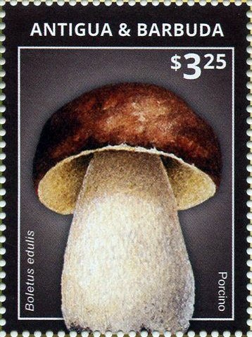 Deep Space New Horizons