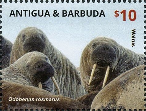 "The Virgin Adoring the Sleeping Christ Child", 1490