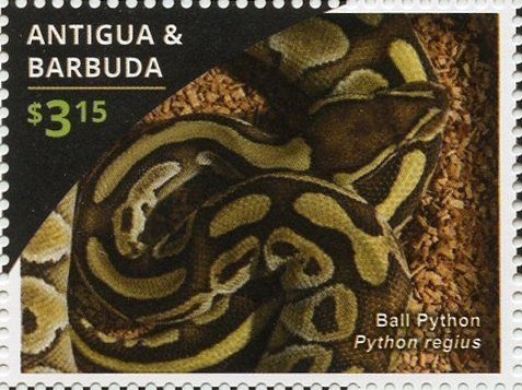 Conductor and Score for "Aida"