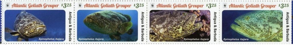 Airship Z2 (1908) and LZ127 (1928)