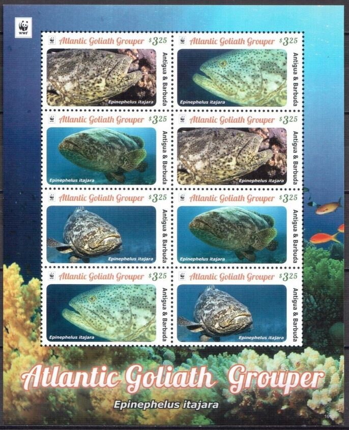 "The Virgin Adoring the Sleeping Christ Child", 1490