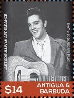 Atlantic Goliath Grouper (Epinephelus itajara)