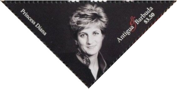 Fan Coral and Tube Coral