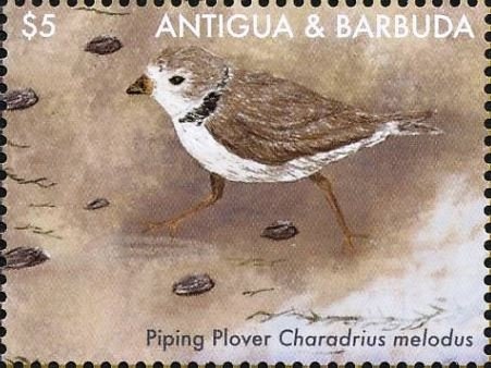 National Parks of Antigua & Barbuda