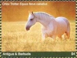 Pope John Paul II, 25th Anniversary of his Papacy