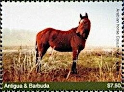 1966 365P Speciale and Interior