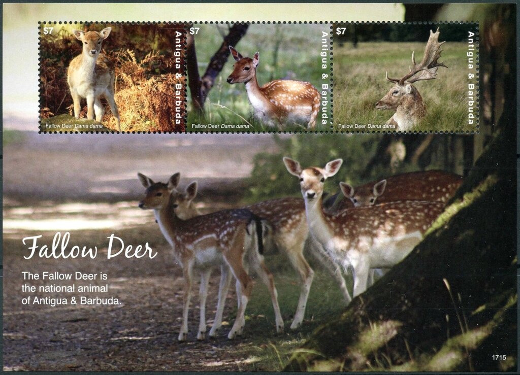 Pope Bendict XVI and St. Mary's Cathedral, Erfurt