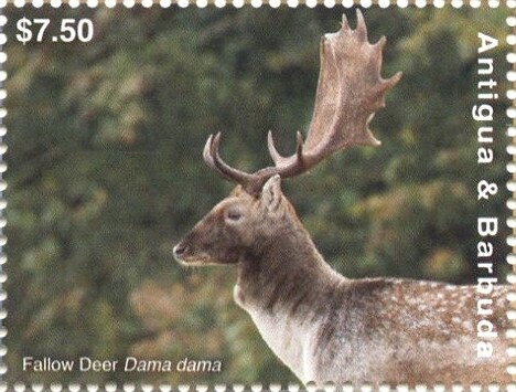 Rare stamps of the world - Ceylon