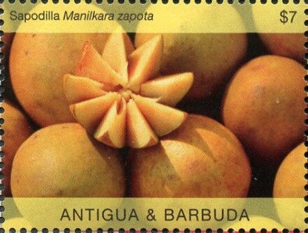 150th Birth Anniversary of Mahatma Gandhi (1869-1948)