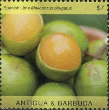 Titanic 100 Year Anniversary