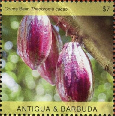 International Youth Year