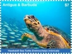 Apollo Missions to the Moon