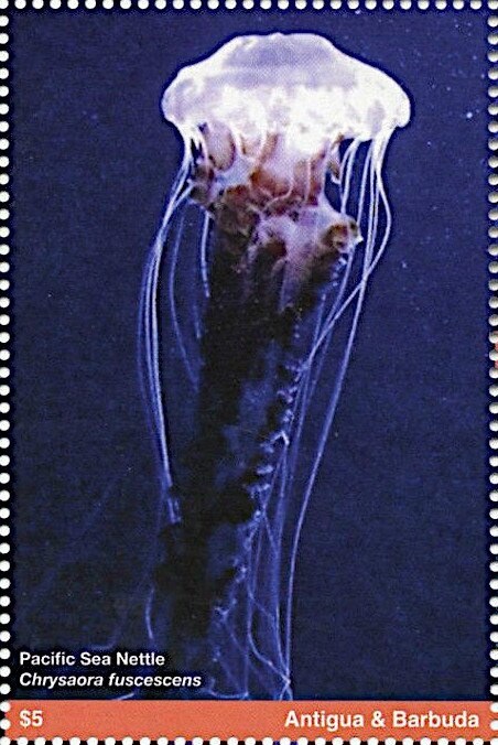 Statue of Liberty, New York