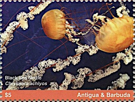 Meeting in the House of Rodriguez Peña