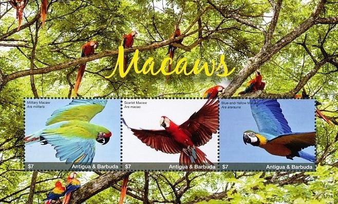 The Family Circus (4)