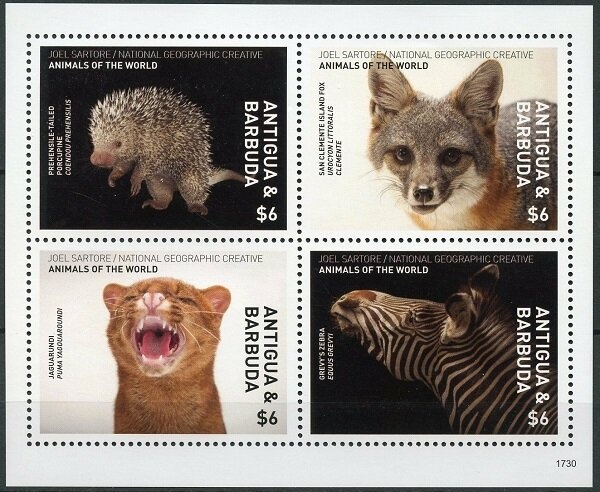 Spring Gardens Moravian Church