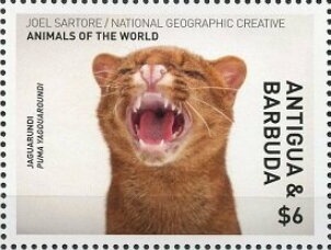 Rare stamps of the world - Finland