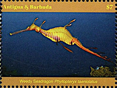 Thomas Jefferson (1743-1826), Third President of the U.S.A.