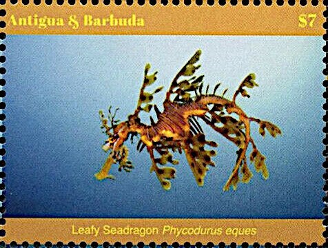 Princess Diana 50th Birth Anniversary