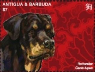 Nelson Mandela wearing Black