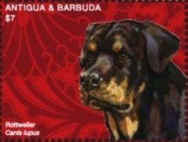 Princess Diana Carrying Flowers