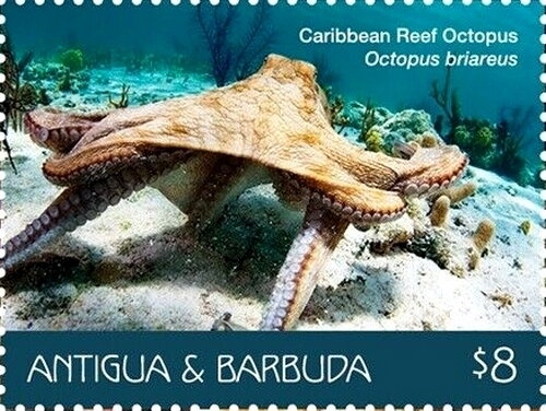 100 Years of the World Scout Movement