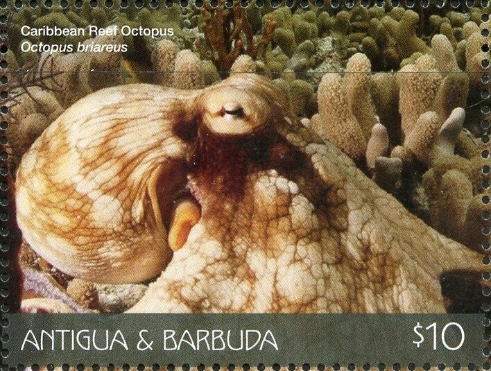 50th Anniversary Cherry Corvette