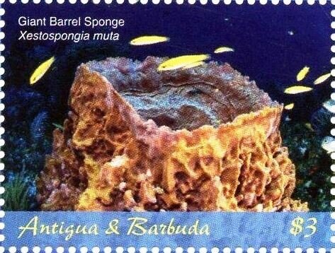 Princess Diana, Prince William and Prince Harry